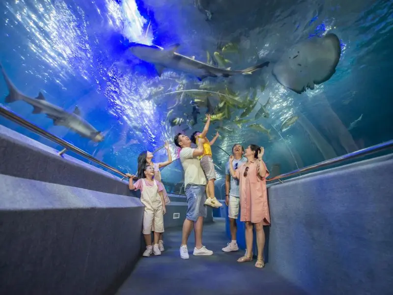 Bản đồ Vinpearl Nha Trang từ A-Z: Ăn uống, vui chơi, nghỉ ngơi 6