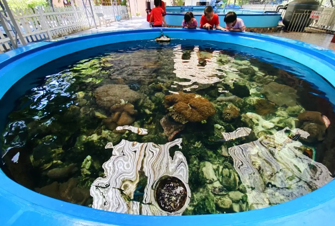 Bảo tàng Hải Dương Học Nha Trang - Đại dương thu nhỏ giữa lòng thành phố 2