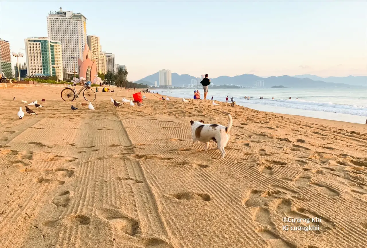 Check-in Nha Trang b&igrave;nh y&ecirc;n v&agrave;o l&uacute;c s&aacute;ng sớm qua lăng k&iacute;nh của blogger Cường Khỉ 11