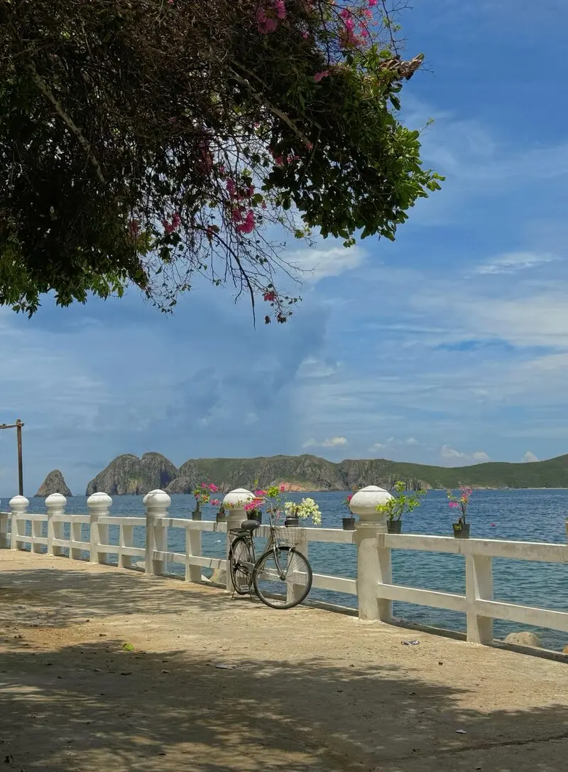 Đảo B&iacute;ch Đầm: Nơi thi&ecirc;n nhi&ecirc;n ấn tượng thu v&agrave;o trong tầm mắt 9