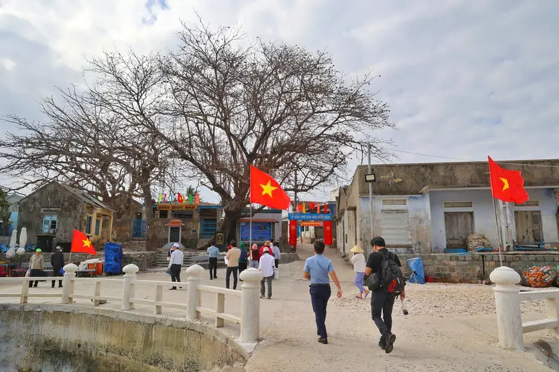 Đảo B&iacute;ch Đầm: Nơi thi&ecirc;n nhi&ecirc;n ấn tượng thu v&agrave;o trong tầm mắt 8