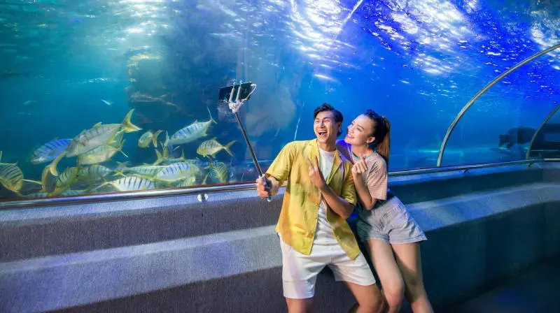 Đến Thủy cung Vinpearl Nha Trang khám phá thế giới đại dương 7