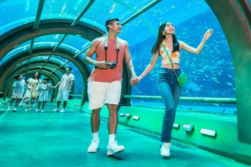 Đến Thủy cung Vinpearl Nha Trang khám phá thế giới đại dương 8