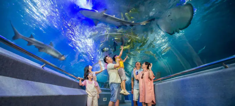 Đến Thủy cung Vinpearl Nha Trang khám phá thế giới đại dương 2