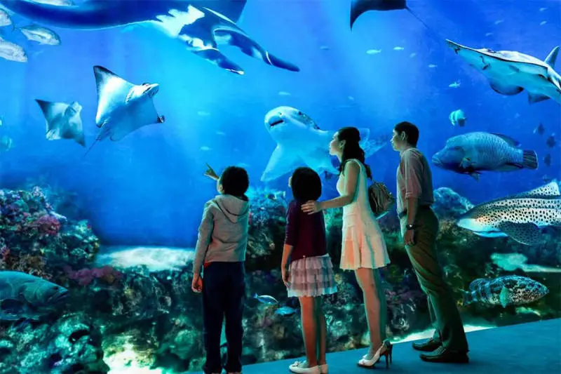 Đến Thủy cung Vinpearl Nha Trang khám phá thế giới đại dương 5