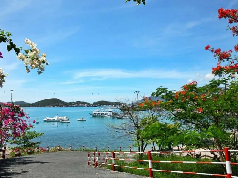 Du lịch Nha Trang Tết 2026: Những trải nghiệm không nên bỏ qua 2