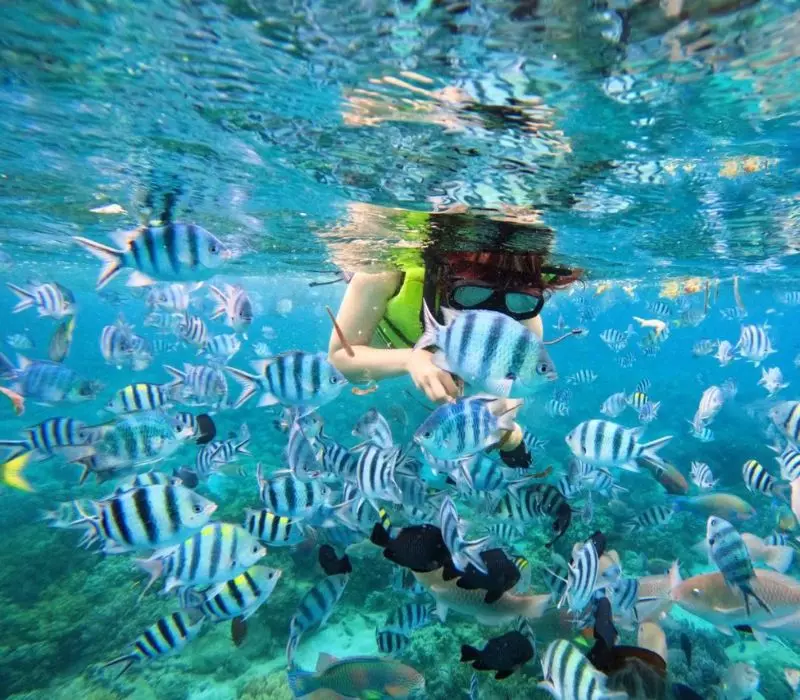 Kh&aacute;m ph&aacute; Vịnh Nha Trang: Thi&ecirc;n đường nghỉ dưỡng h&agrave;ng đầu Việt Nam 7