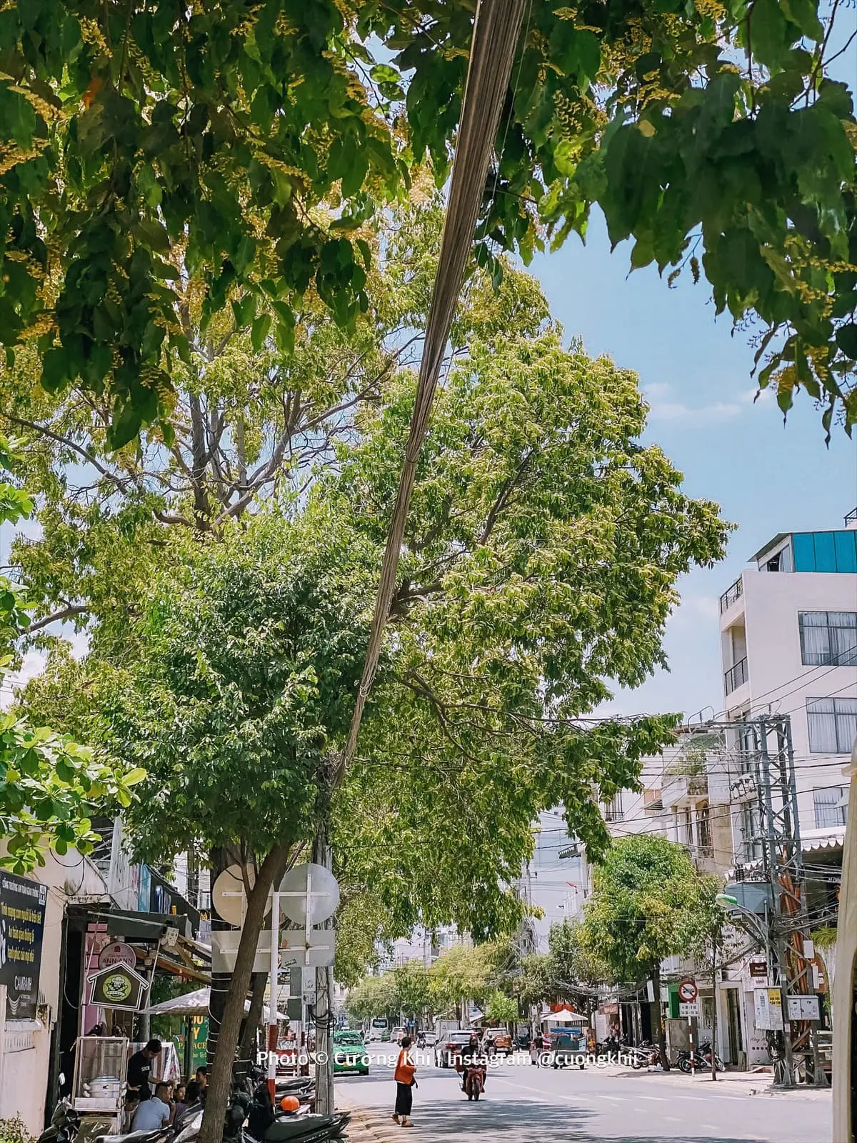 Nha Trang m&ugrave;a n&agrave;y đẹp qu&aacute; mức quy định, k&eacute;o va-li đi th&ocirc;i bạn ơi 5