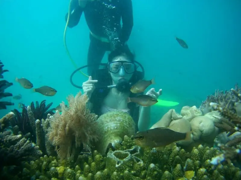 Rẽ s&oacute;ng đến với Vịnh San H&ocirc; Nha Trang chi&ecirc;m ngưỡng thế giới đại dương 4