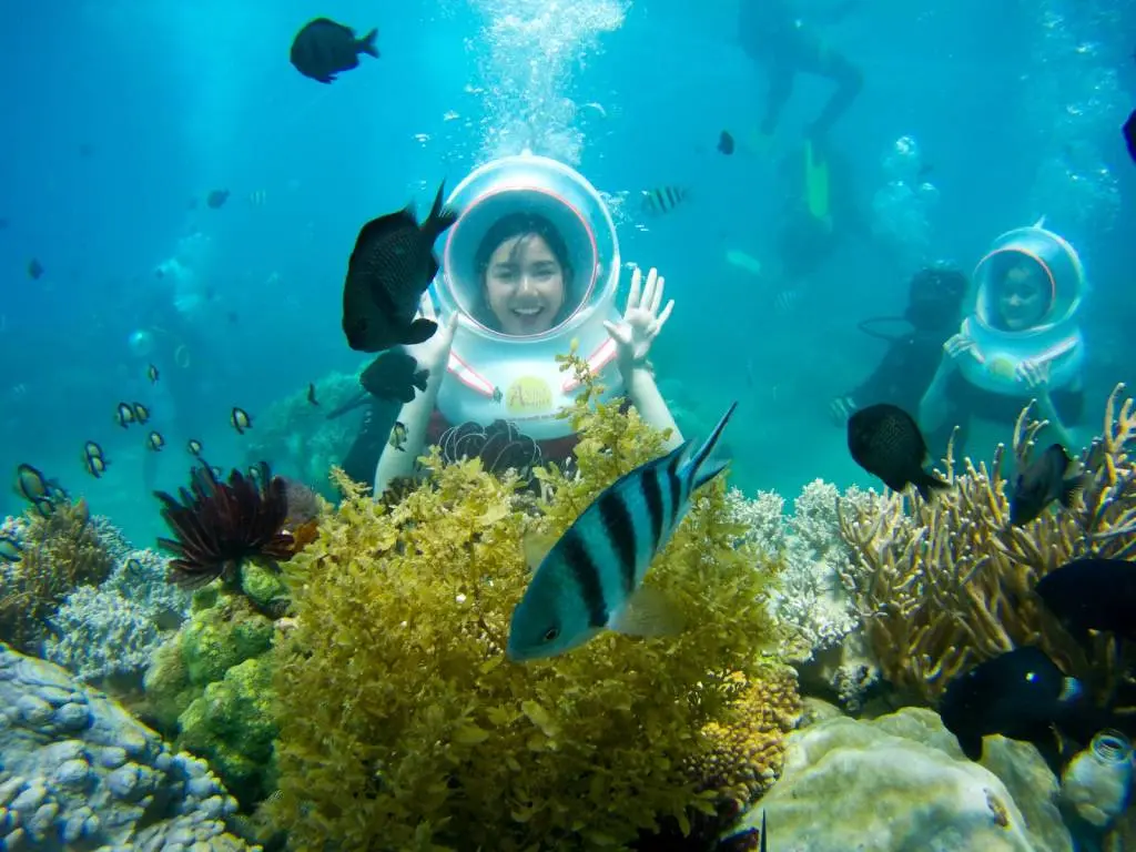 Sealife Nha Trang - Kh&aacute;m ph&aacute; những hoạt động vui chơi tr&ecirc;n biển cực ho&agrave;nh tr&aacute;ng tại Nha Trang 9