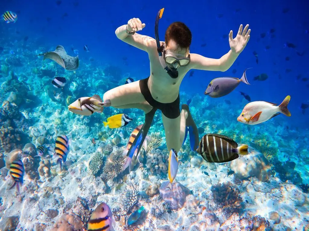 Sealife Nha Trang - Kh&aacute;m ph&aacute; những hoạt động vui chơi tr&ecirc;n biển cực ho&agrave;nh tr&aacute;ng tại Nha Trang 8