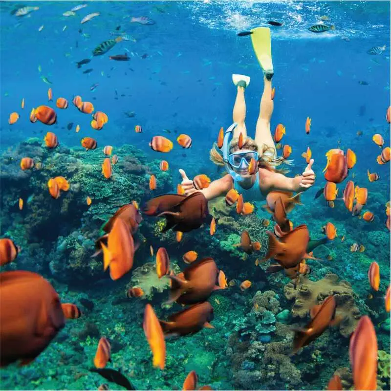 Top 4 địa điểm lặn biển Nha Trang mang đến thế giới đại dương diễm lệ 3