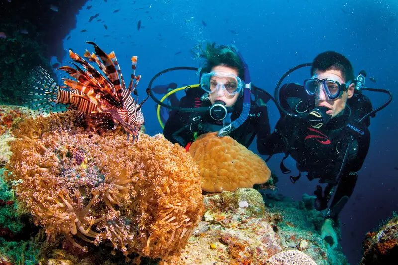 Top 4 địa điểm lặn biển Nha Trang mang đến thế giới đại dương diễm lệ 7