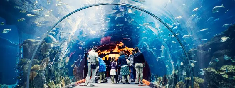Trải nghiệm du lịch Nha Trang 30/4, 01/5 cực sảng khoái 10