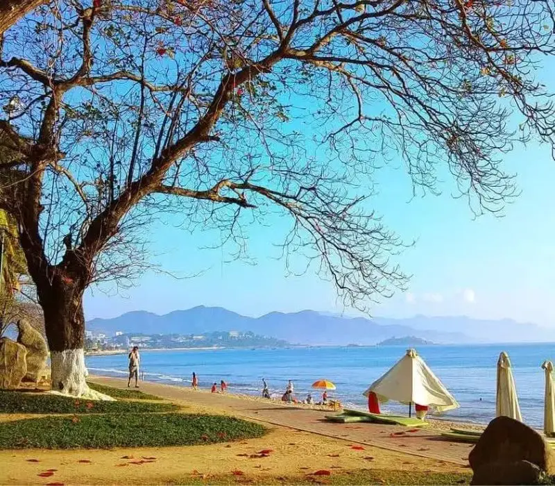 Du lịch Nha Trang Tết 2026: Những trải nghiệm không nên bỏ qua