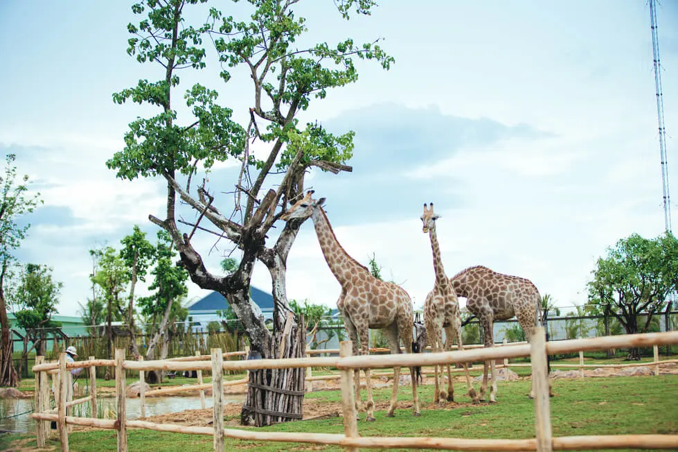 Lịch tr&igrave;nh kh&aacute;m ph&aacute; Vinwonders Nha Trang trong 1 ng&agrave;y đầy th&uacute; vị 4