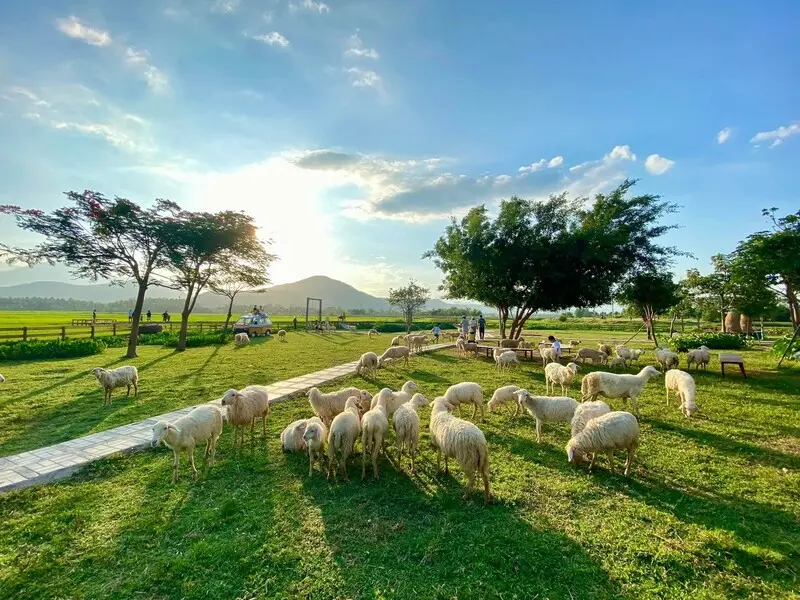 Lịch tr&igrave;nh Nha Trang 3 ng&agrave;y 2 đ&ecirc;m: H&agrave;nh tr&igrave;nh chinh phục thi&ecirc;n đường biển 9