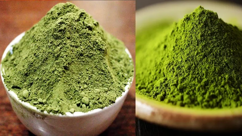 Matcha l&agrave; g&igrave;? T&aacute;c dụng kỳ diệu của Matcha đối với sức khỏe 15