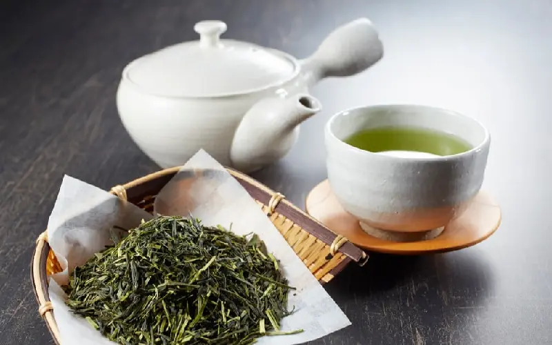 T&igrave;m hiểu về tr&agrave; Sencha: Tinh hoa tr&agrave; đạo xứ Ph&ugrave; Tang 10