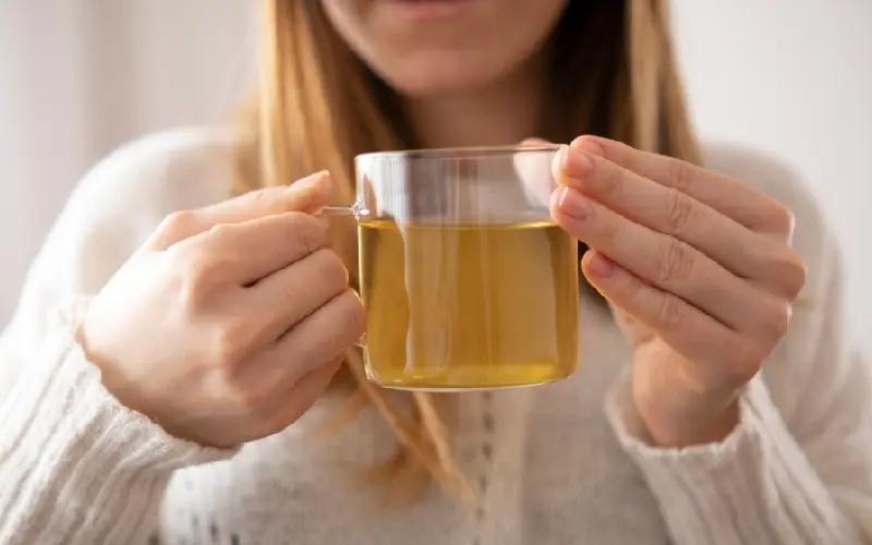 T&igrave;m hiểu về tr&agrave; Sencha: Tinh hoa tr&agrave; đạo xứ Ph&ugrave; Tang 8