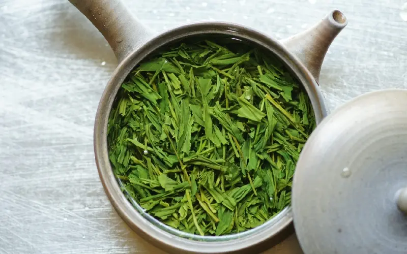 T&igrave;m hiểu về tr&agrave; Sencha: Tinh hoa tr&agrave; đạo xứ Ph&ugrave; Tang 4