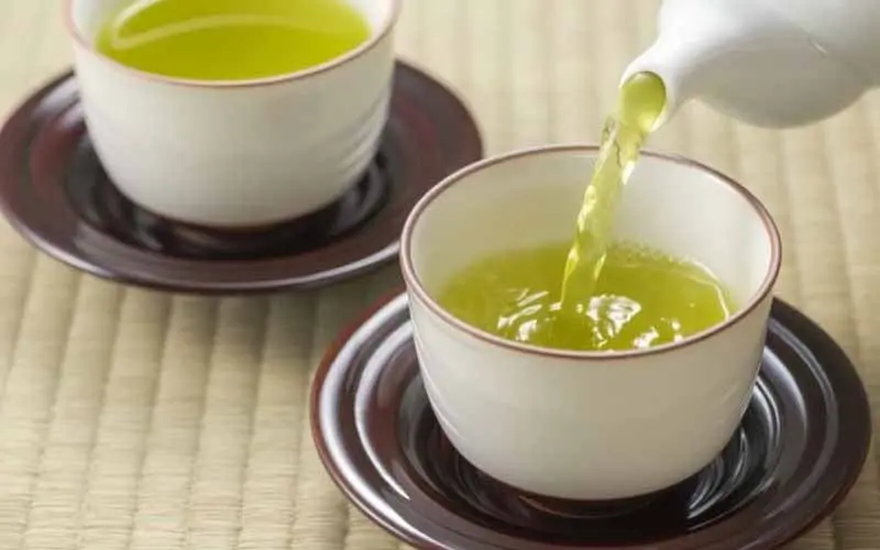 T&igrave;m hiểu về tr&agrave; Sencha: Tinh hoa tr&agrave; đạo xứ Ph&ugrave; Tang 11