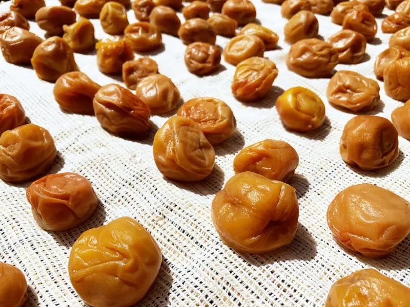Umeboshi: M&oacute;n mơ muối chua chua mặn mặn khiến bạn u m&ecirc; 14