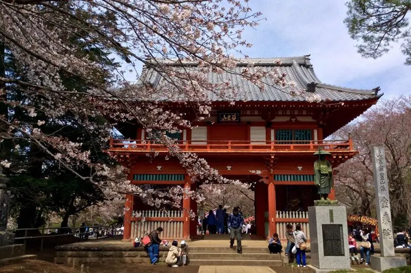 Chiba Nhật Bản mảnh đất y&ecirc;n b&igrave;nh b&ecirc;n cạnh Tokyo nhộn nhịp 4