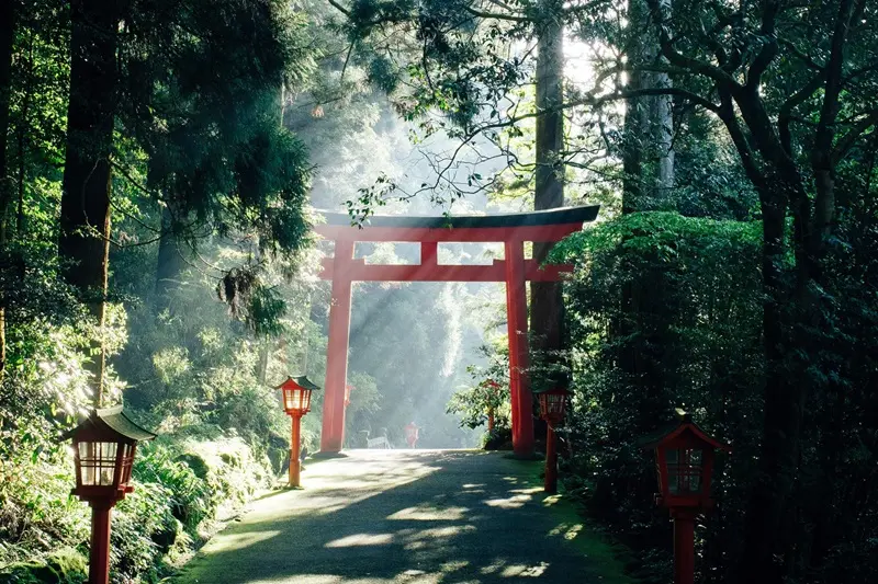 Cổng Torii Nhật Bản nơi dẫn lối đến với c&aacute;c vị thần 12