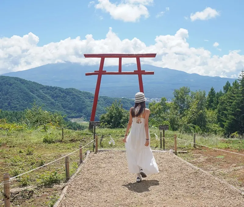 Cổng Torii Nhật Bản nơi dẫn lối đến với c&aacute;c vị thần 2