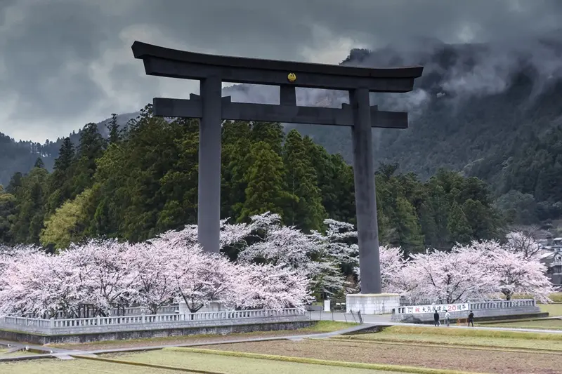 Cổng Torii Nhật Bản nơi dẫn lối đến với c&aacute;c vị thần 10