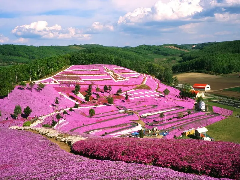 Du lịch Hokkaido khám phá vẻ đẹp miền Bắc tuyết trắng 5