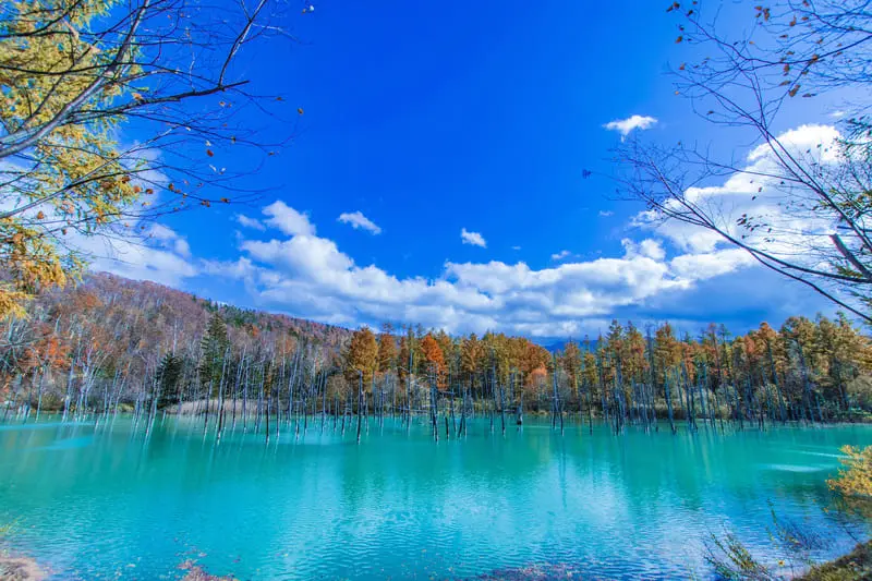 Du lịch Hokkaido m&ugrave;a h&egrave;, kh&aacute;m ph&aacute; loạt thắng cảnh ấn tượng 6