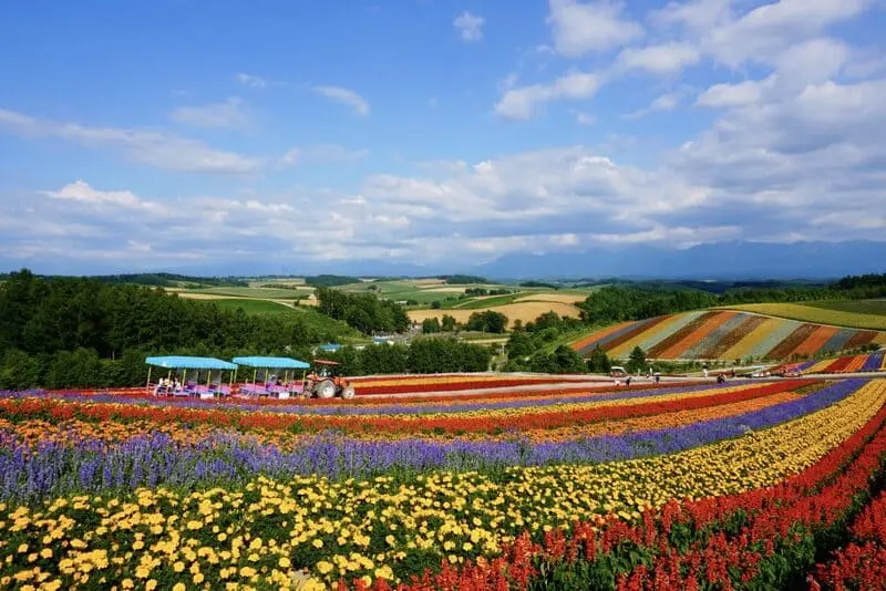 Du lịch Hokkaido m&ugrave;a h&egrave;, kh&aacute;m ph&aacute; loạt thắng cảnh ấn tượng 2