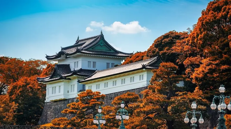 Du lịch Tokyo Tết: H&agrave;nh tr&igrave;nh kh&aacute;m ph&aacute; kinh đ&ocirc; xứ sở mặt trời mọc 3