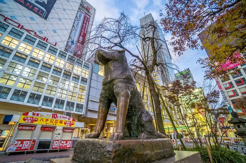 Giao lộ Shibuya biểu tượng cho nhịp sống s&ocirc;i động ở Tokyo Nhật Bản 9