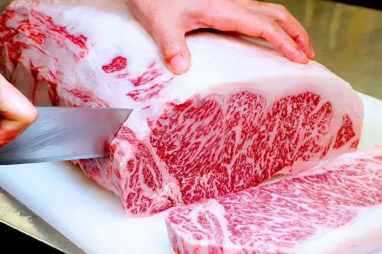 Giới thiệu về th&agrave;nh phố &aacute;nh s&aacute;ng Okayama Nhật Bản 10