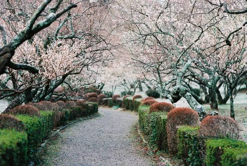 Kanagawa điểm c&acirc;n bằng ho&agrave;n hảo giữa thi&ecirc;n nhi&ecirc;n v&agrave; đ&ocirc; thị Nhật Bản 13