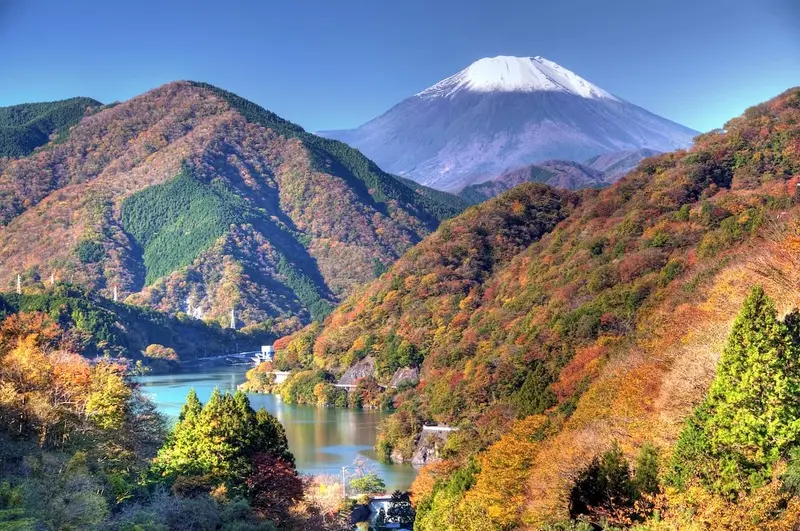 Kanagawa điểm c&acirc;n bằng ho&agrave;n hảo giữa thi&ecirc;n nhi&ecirc;n v&agrave; đ&ocirc; thị Nhật Bản 3
