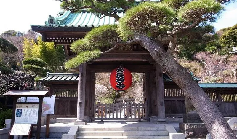 Kanagawa điểm c&acirc;n bằng ho&agrave;n hảo giữa thi&ecirc;n nhi&ecirc;n v&agrave; đ&ocirc; thị Nhật Bản 15