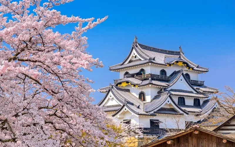 Kansai: Mảnh đất của truyền thống v&agrave; văn h&oacute;a Nhật Bản 14