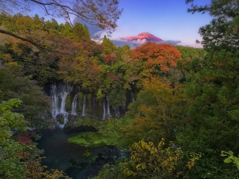 Kh&aacute;m ph&aacute; Karuizawa, thi&ecirc;n đường nghỉ dưỡng m&ugrave;a h&egrave; của Nhật Bản 10