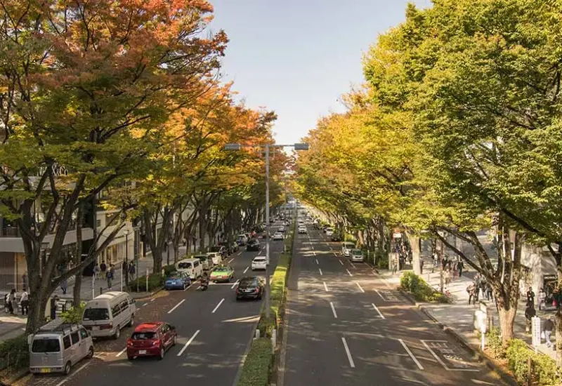 Kh&aacute;m ph&aacute; Omotesando: Đại lộ hiện đại, xịn s&ograve; nhất tại Tokyo 4