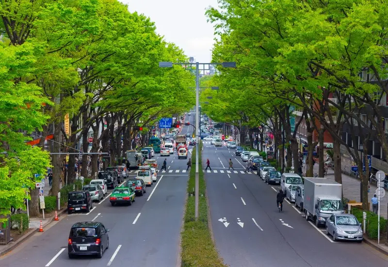 Kh&aacute;m ph&aacute; Omotesando: Đại lộ hiện đại, xịn s&ograve; nhất tại Tokyo 2