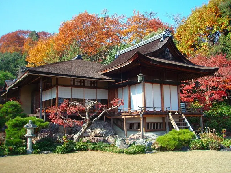 Kh&aacute;m ph&aacute; rừng tre Sagano, m&ecirc; cung xanh mướt giữa l&ograve;ng Kyoto 6