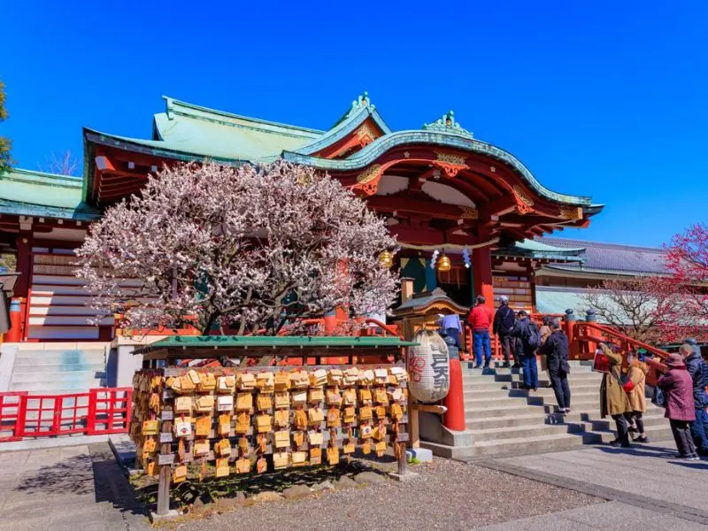 Kinh nghiệm du lịch Golden Week: Trải nghiệm tuyệt vời tại Nhật Bản 8