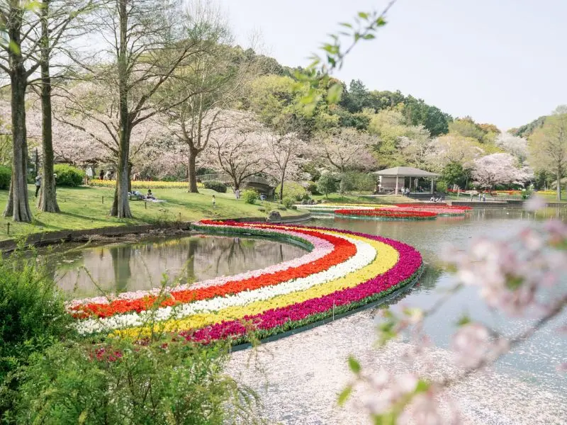 Kinh nghiệm du lịch Shizuoka: Top 10 điểm đến nổi tiếng kh&ocirc;ng thể bỏ lỡ 6