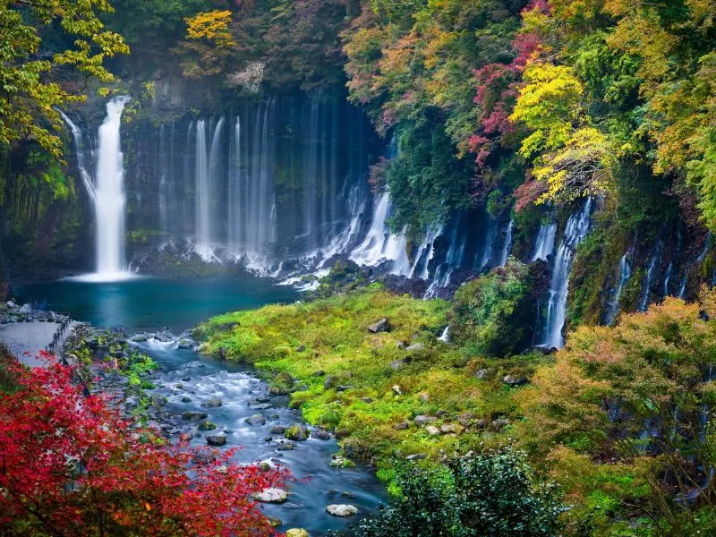 Kinh nghiệm du lịch Shizuoka: Top 10 điểm đến nổi tiếng kh&ocirc;ng thể bỏ lỡ 11