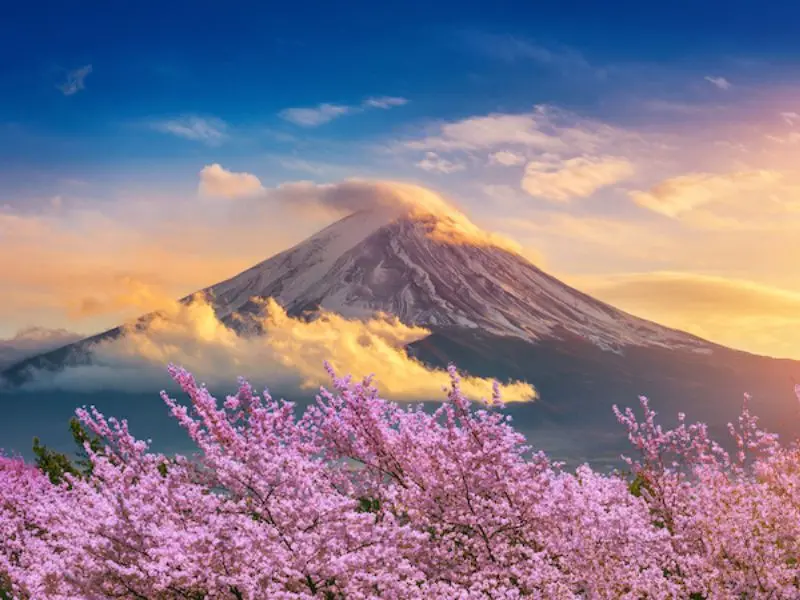 Kinh nghiệm du lịch Shizuoka: Top 10 điểm đến nổi tiếng kh&ocirc;ng thể bỏ lỡ 3