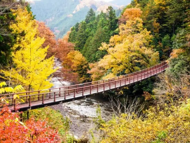 Kinh nghiệm du lịch Shizuoka: Top 10 điểm đến nổi tiếng kh&ocirc;ng thể bỏ lỡ 5